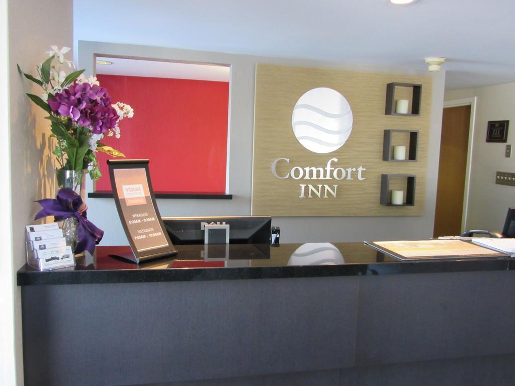Comfort Inn Cobourg Bagian luar foto